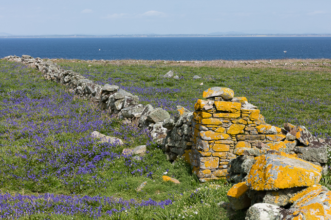 Ireland May 2016 (31)